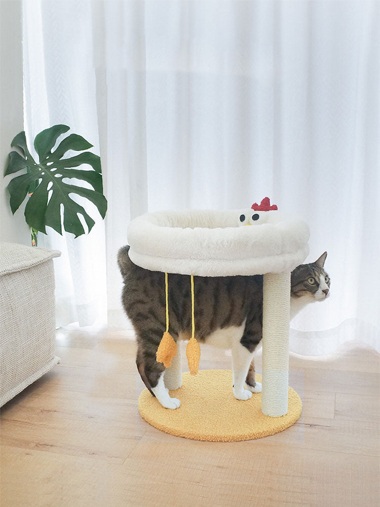 🐾 The Story Behind TOLEA: Designed by Cat Parents, for Cat Parents