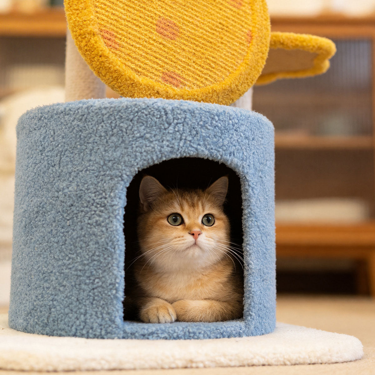 Cute Star Moon Multi-level Cat Tree | Durable Sisal Cat Scratching Post Cat Furniture