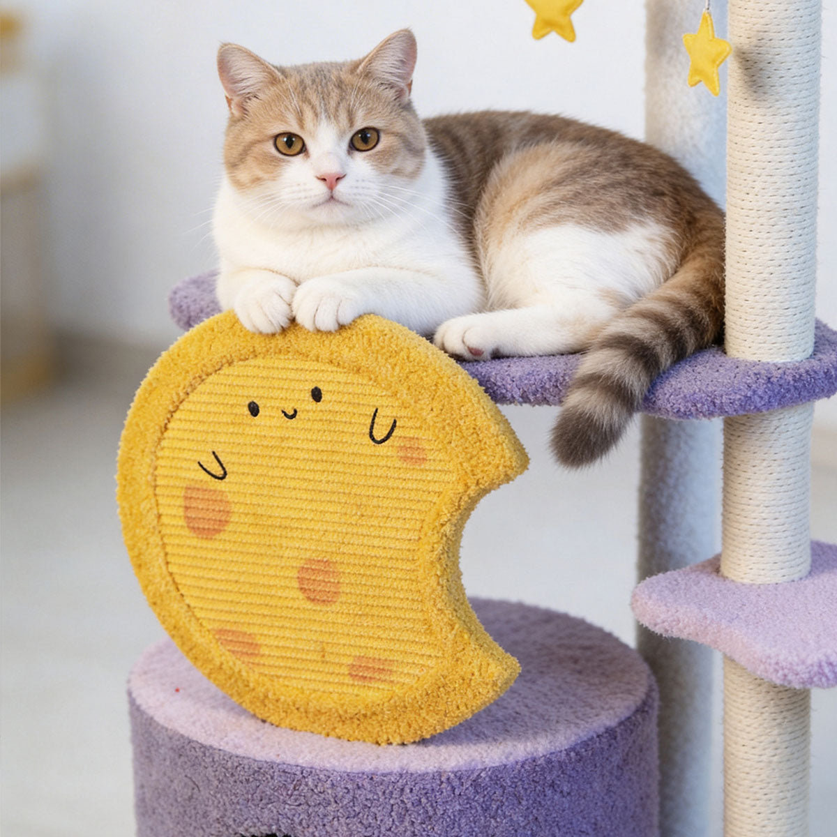 Purple Star Moon Cat Tree | Cute Multi-level Cat Scratching Post & Activity Center
