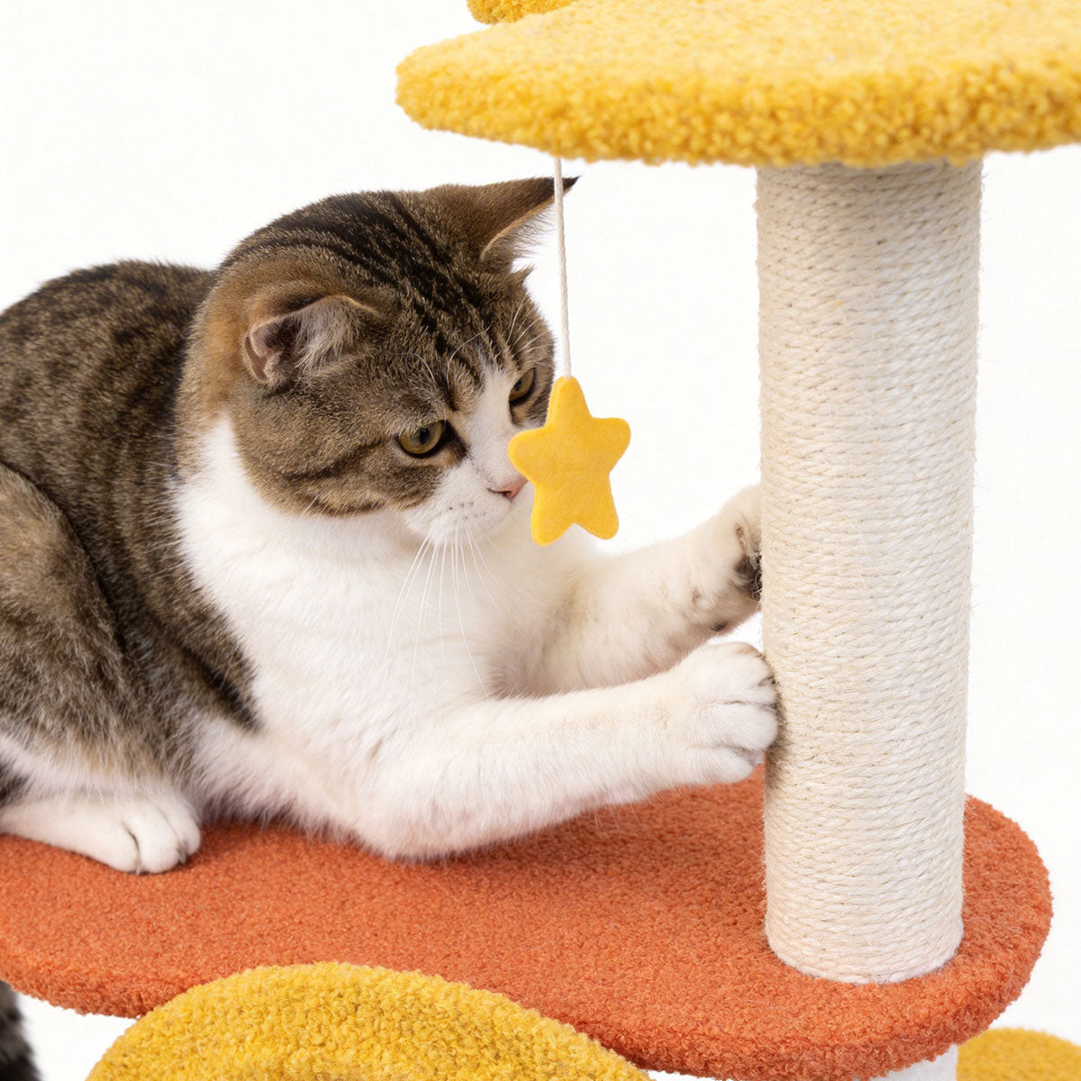 Cute Star Moon Multi-level Cat Tree | Durable Sisal Cat Scratching Post Cat Furniture